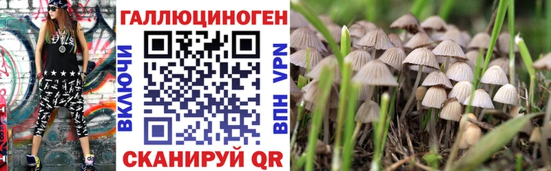 Псилоцибиновые грибы Psilocybine cubensis  Заволжск 